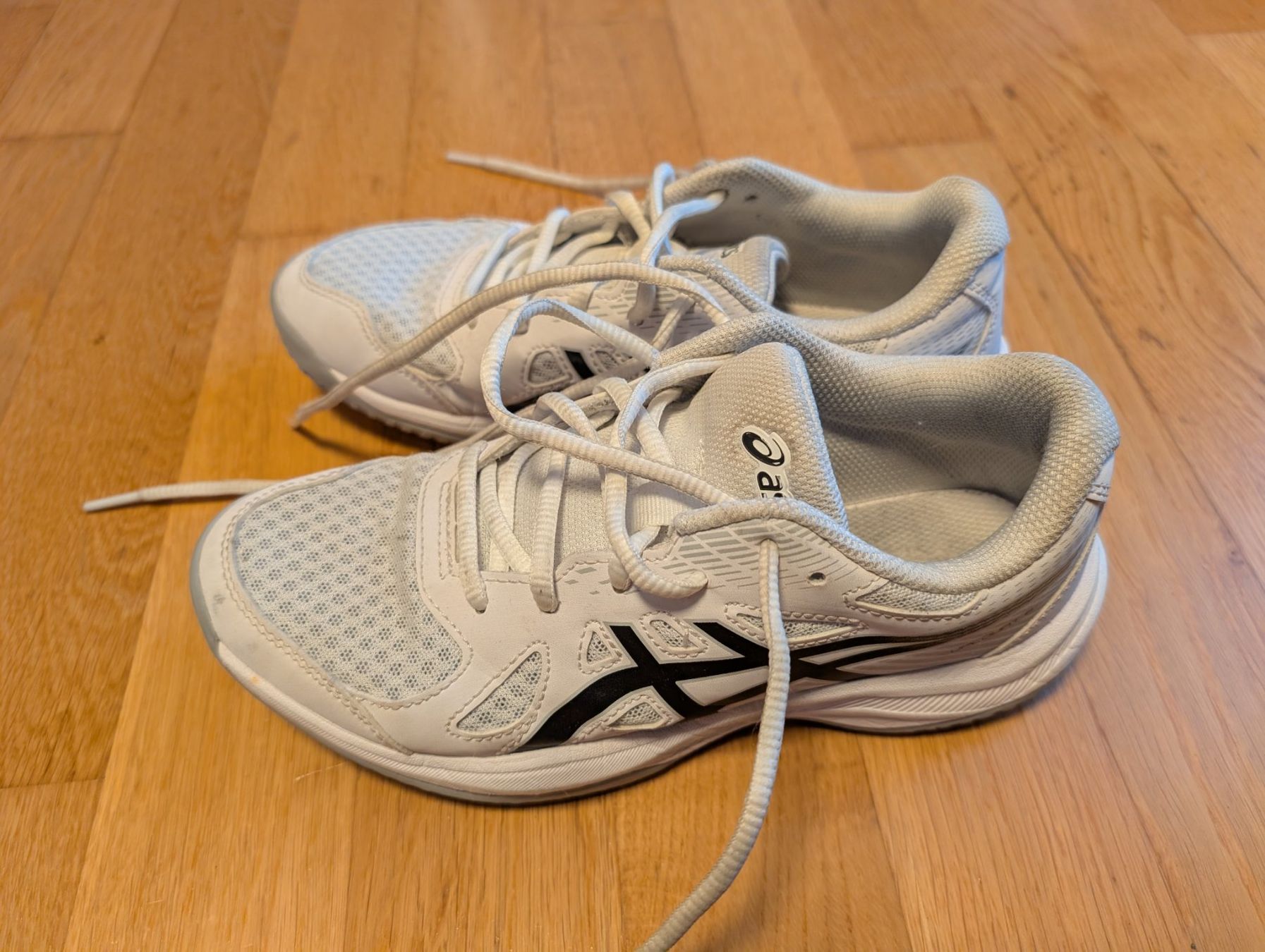 Asics Scarpe per ragazzi: Hallen-Turnschuhe Asics Grösse 36 – Usato da Ehrendingen venduto da tdz1980 1