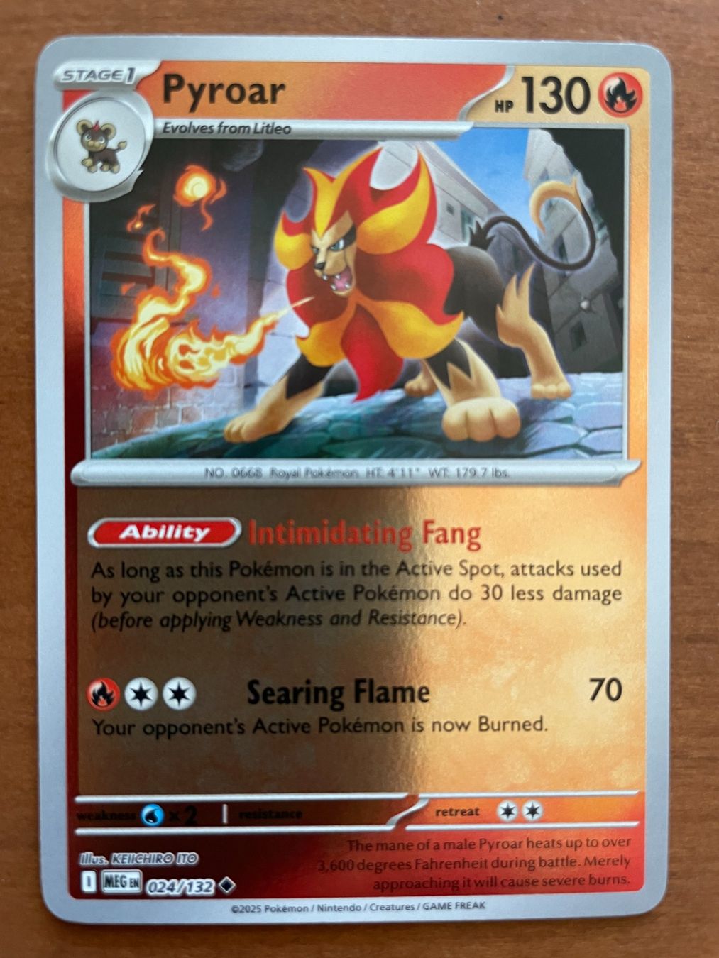 Pokémon Carte collezionabili: Pokemon Pyroar Reverse (Versand gratis) – Nuovo (secondo la descrizione) da Chur venduto da Angerson