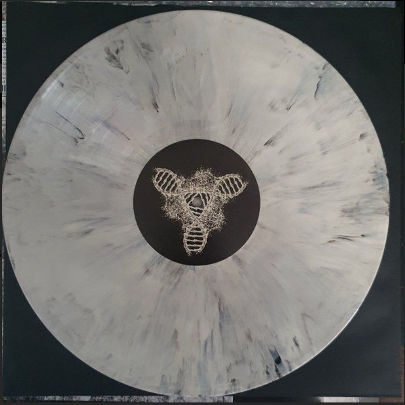 Dischi in vinile: Coroner - Dissonance Theory LP / Creamy White Black Marbled – Nuovo e nell'imballaggio originale da Zürich venduto da LustForLive 2