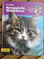 Buch- Norwegische Waldkatzen, Ratgeber