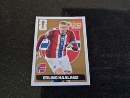 Panini Sticker Erling Haaland Extra Sticker bronze neuwertig