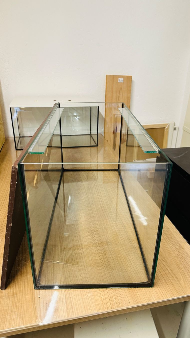 Terrario: Terrarium mit Holzabdeckung – Usato da Orpund venduto da Catangle 2