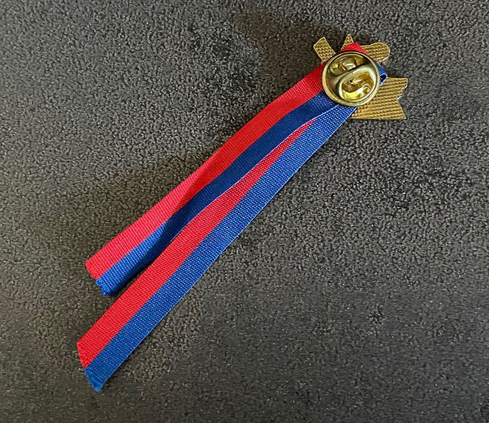 Spille & Fermagli: Pin Alpen Ski 1992-93 – Usato da Contone venduto da Chaos76 2