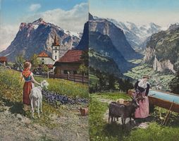 Berner Oberland, Ziegen, 2 AK's