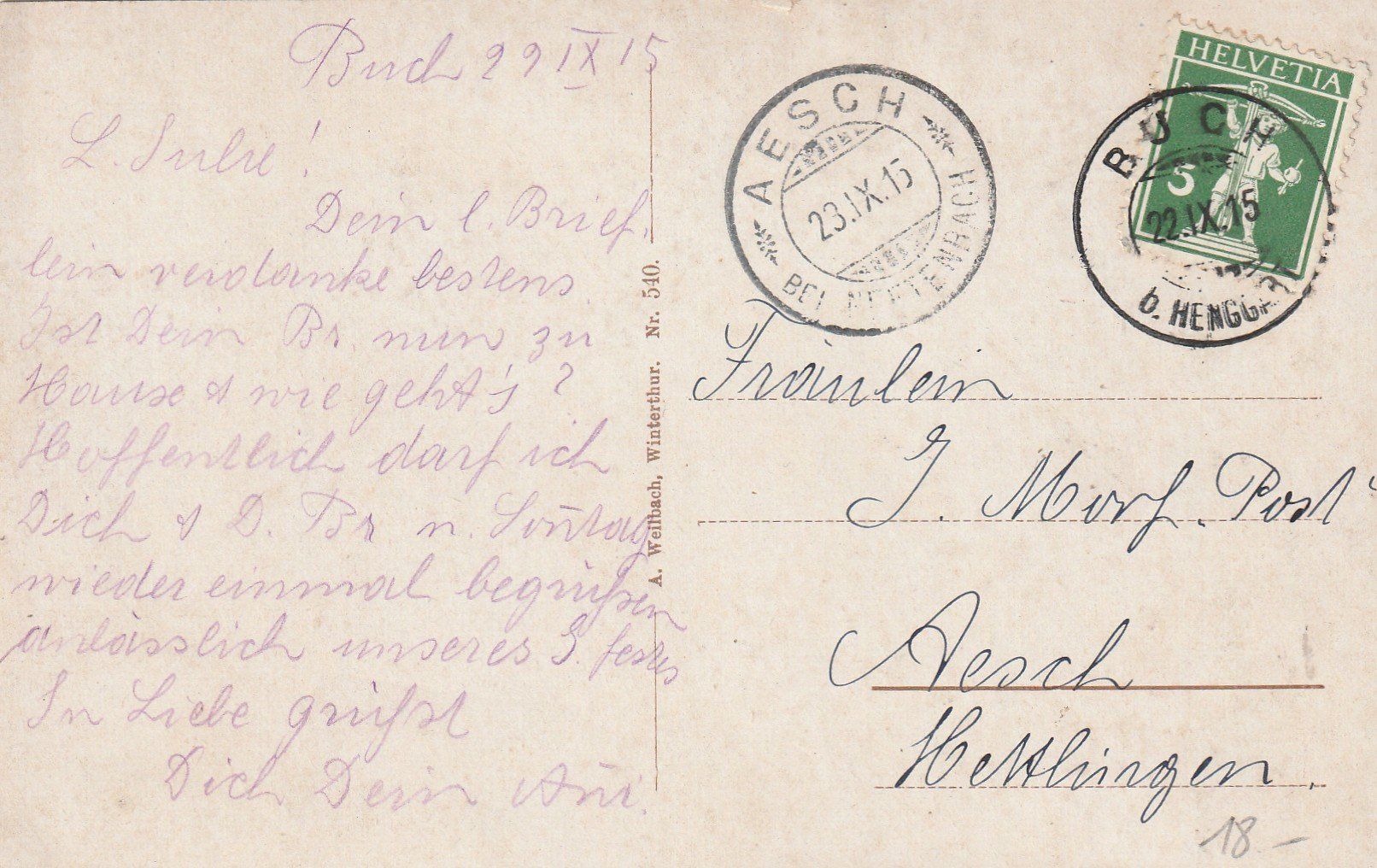 Cartoline postali: Ansichtskarte Winterthur Bruderhaus mit Hirsch Zoo 1915 – Usato da Rupperswil venduto da Ema10 1