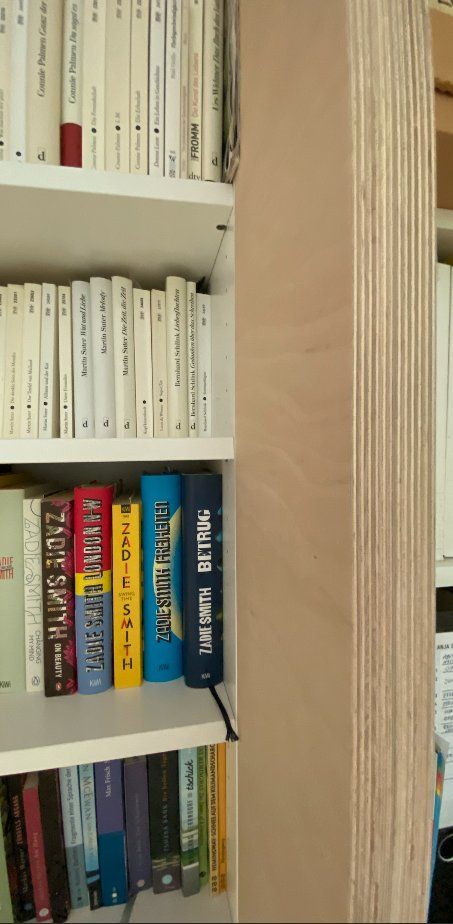 Armadi: Ikea Hack Einbauschrank im skandinavischen Stil aus Birke – Usato da Zürich venduto da anjuschke 5