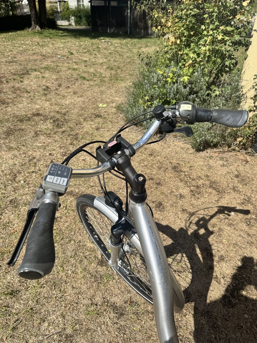 Vélos: E-Bike Damen Flyer – D'occasion à Burgdorf par pet_2nsy 6