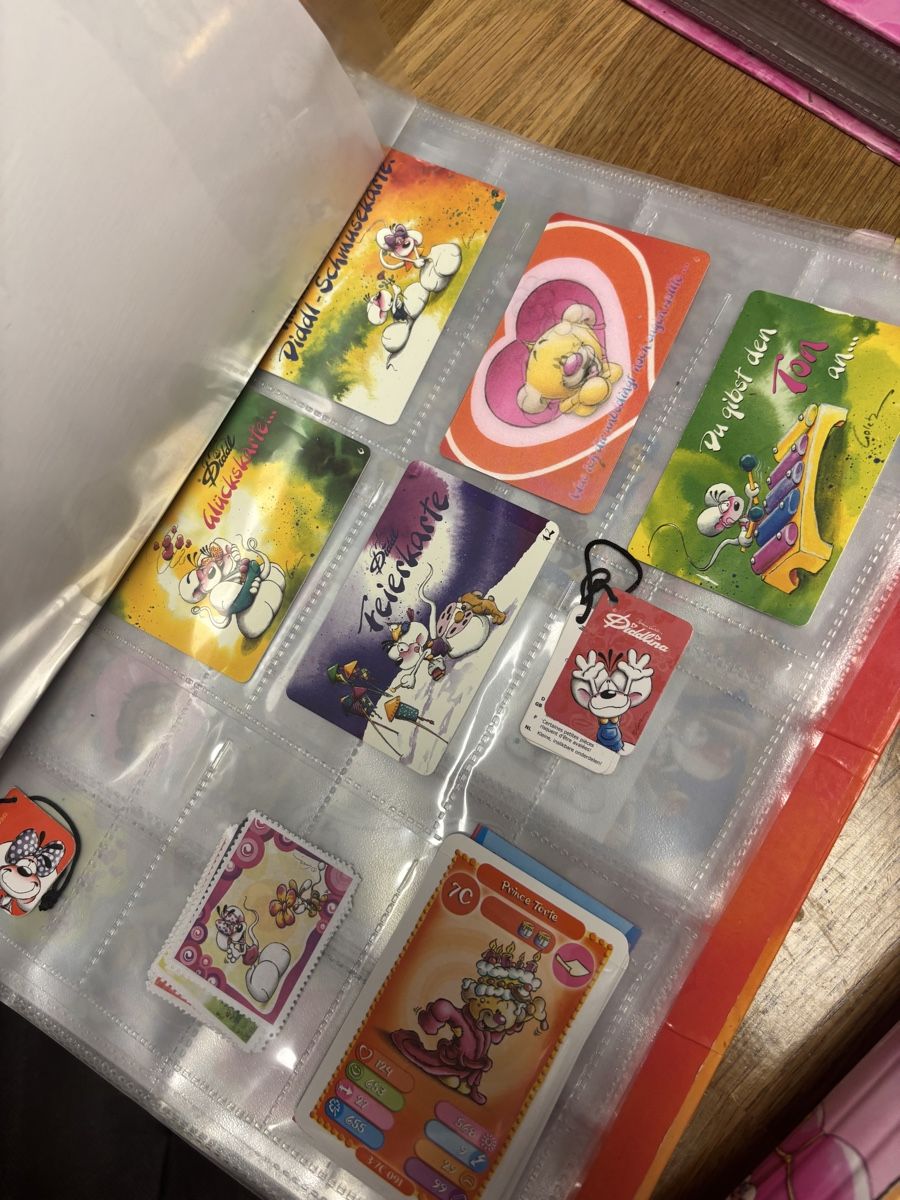 Raccoglitori: Diddl Ordner Sammlung – Usato da Amriswil venduto da thi_r29m 5