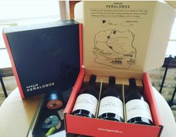 Top100 Ribera del Duero! 3 bouteilles