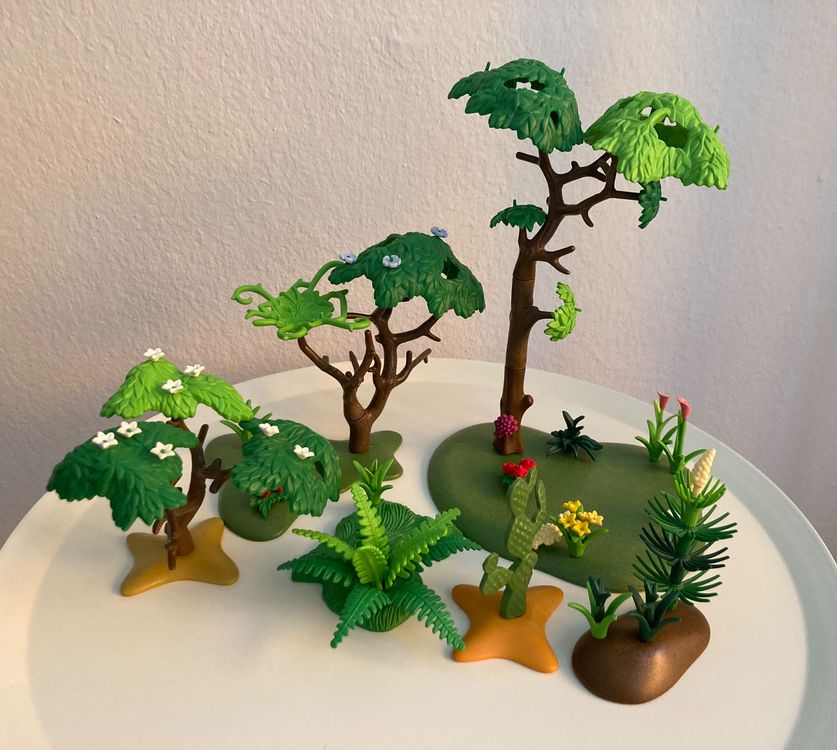 35+ Blume Sucht Baum Erfahrungen, Junge frauen suchen reife männer.