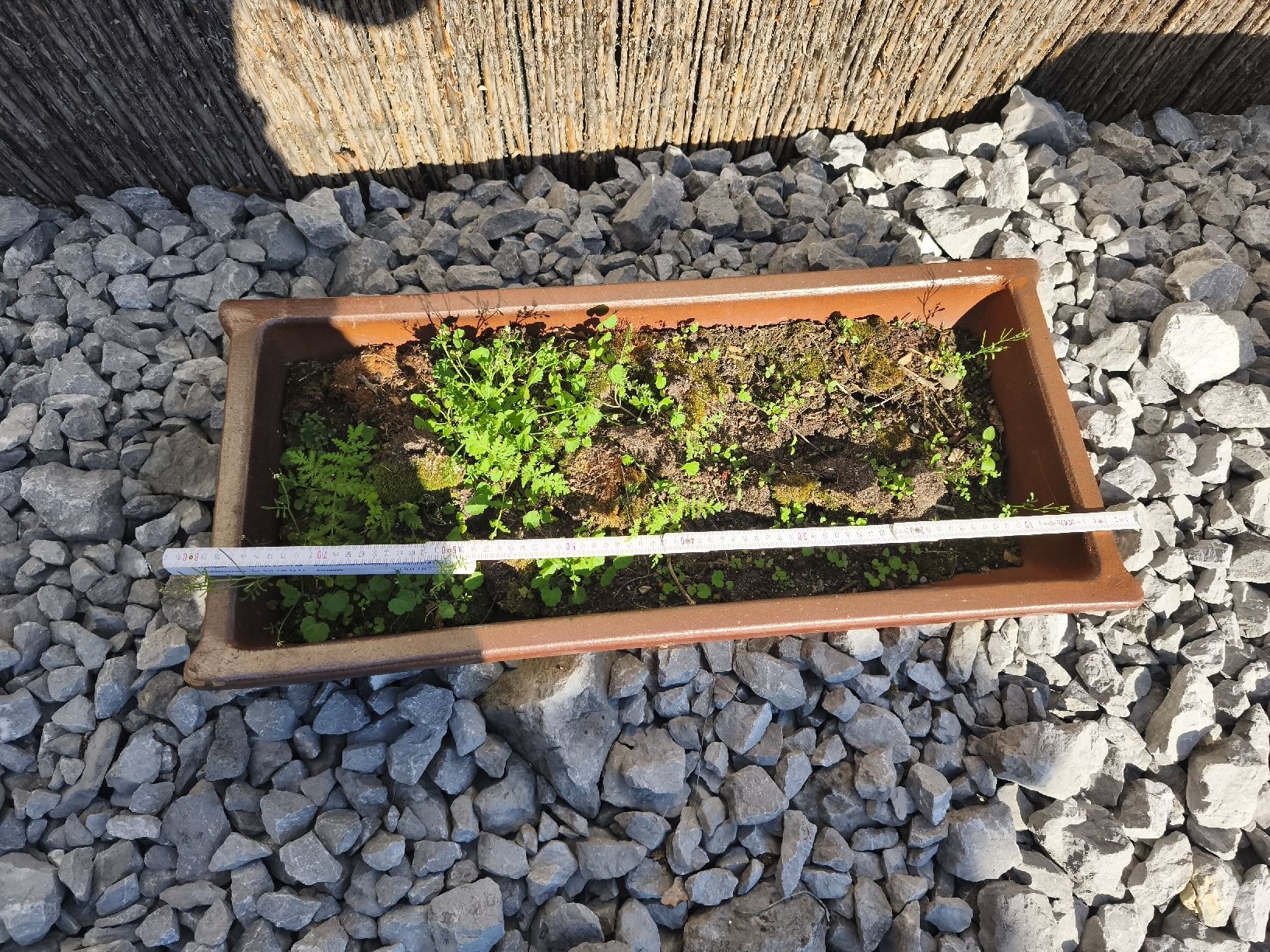 Vasi per fiori: Blumentöpfe  – Usato da Rubigen venduto da HEIDA_82 1