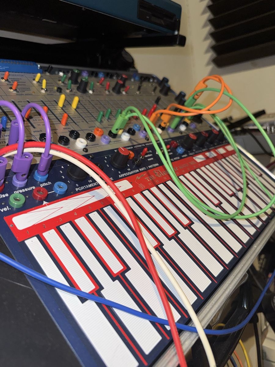 Strumenti musicali: Buchla Music Easel modern  – Nuovo (secondo la descrizione) da Zürich venduto da Makesome01 1