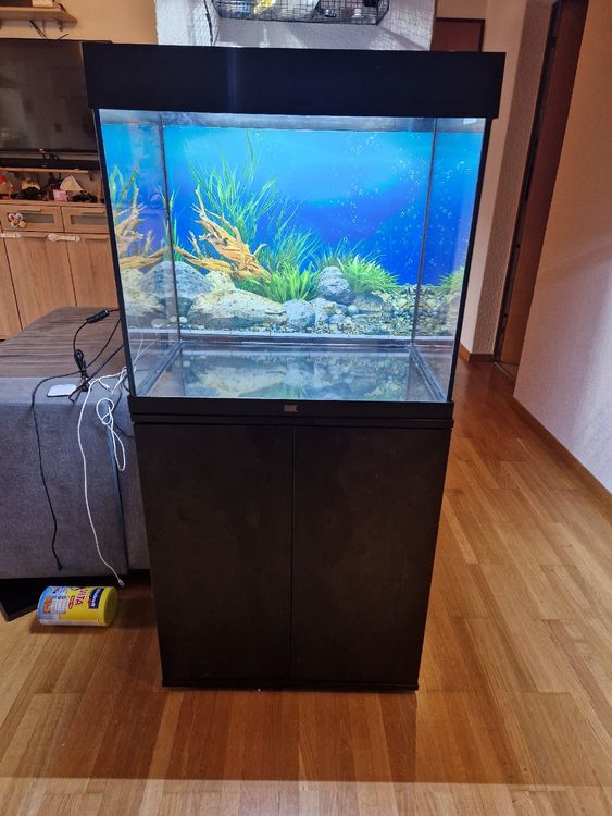 Juwel Lido LED 120 Aquarium mit möbel | Kaufen auf Ricardo