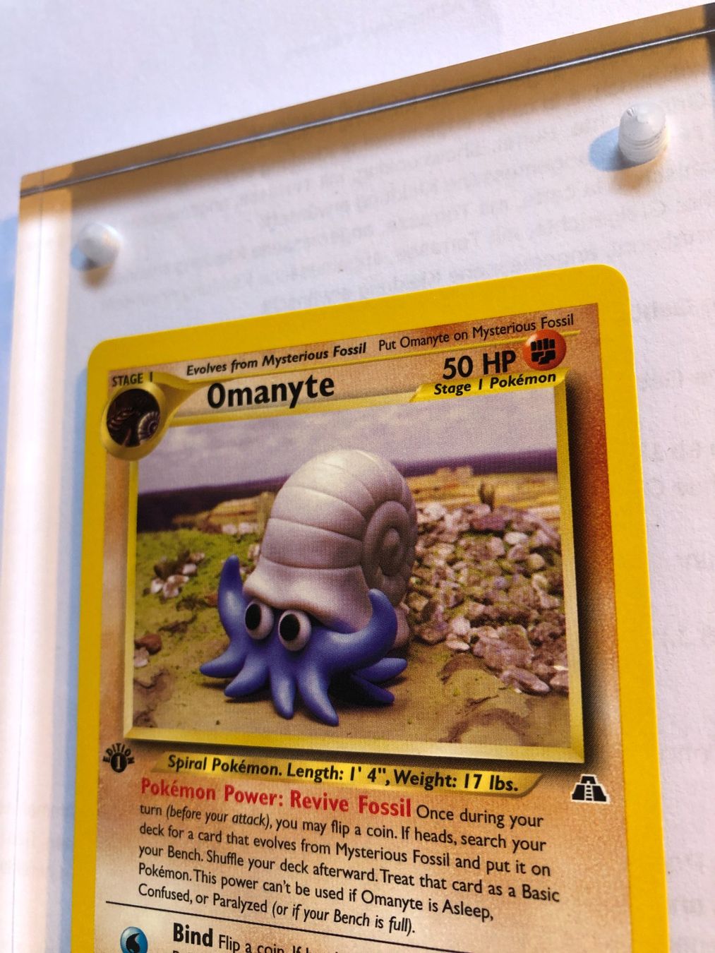 Carte collezionabili: Omanyte 1st Neo Discovery - MINT - ab 1.- – Usato da Giubiasco venduto da dan_pr8b 3