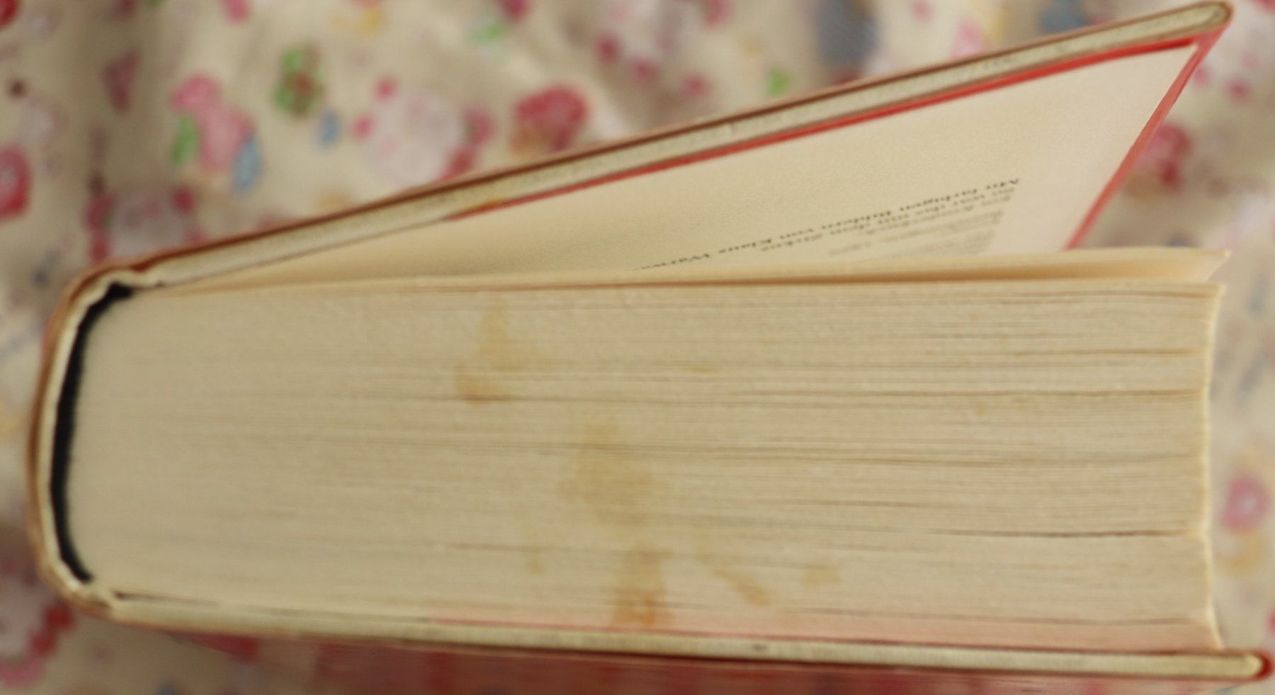 Libri: Deutschstunde von Siegfried Lenz – Usato da Glattfelden venduto da Vrenely 7