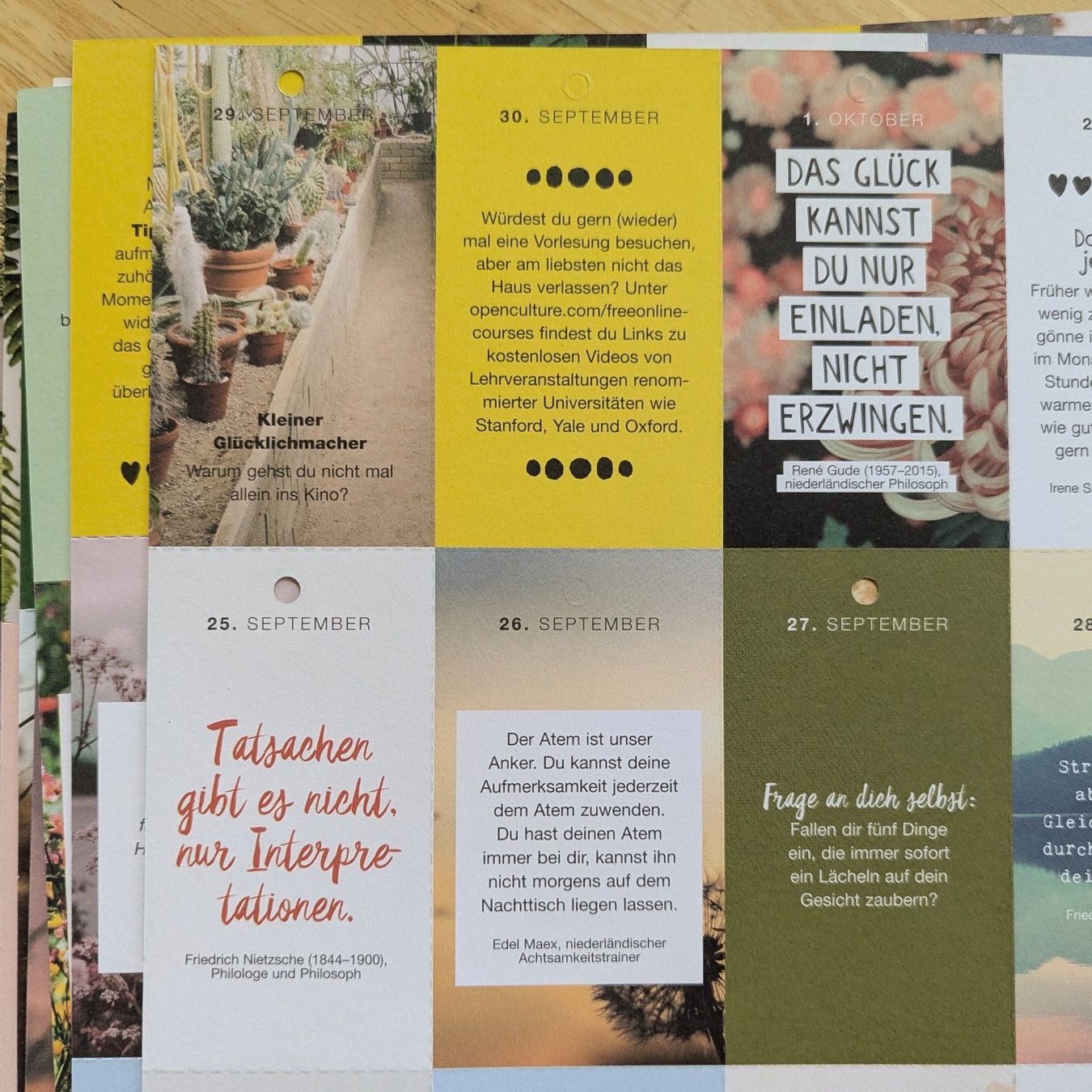 Kalender: FLOW 365Tage Kalender – Neu (gemäss Beschreibung) aus Bertschikon Gossau von Tokibunny 5