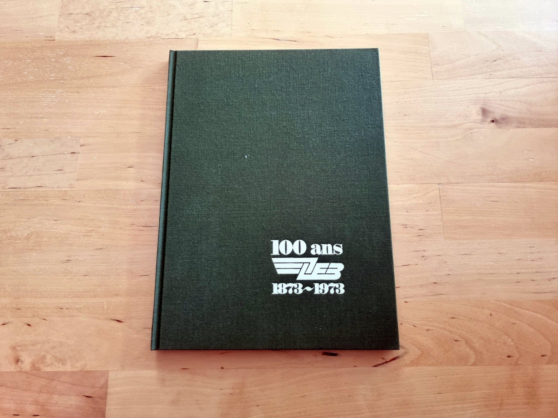 Livres: 100 ans LEB 1873-1973 – D'occasion à Birrwil par dirtyoldtown