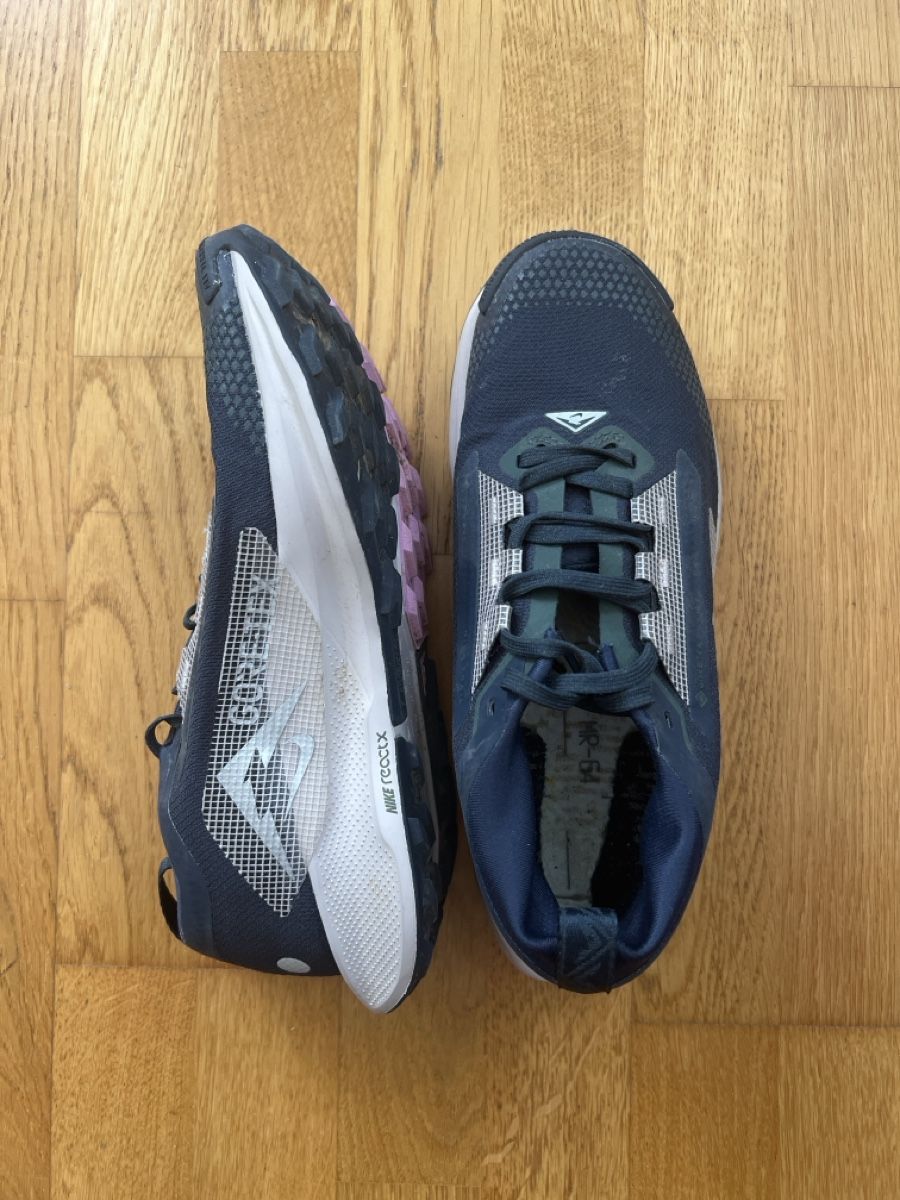 Nike Chaussures femmes: Nike Pegasus Trail 5 GORE-TEX – Neuf (Voir description) à Basel par cas_yt9z 1