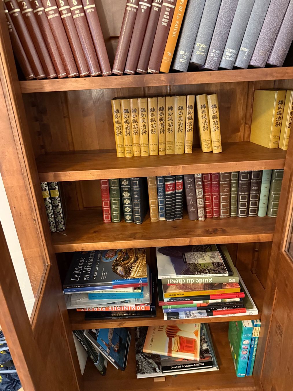 Vetrine: Armoire à livres – Usato da St-Sulpice VD venduto da mor_p5ml 1