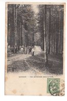 LÜTERSWIL Une promenade dans la forêt