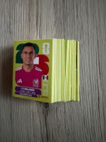 Lote de 67 paninis  FIFA World Cup 2026 sans doubles