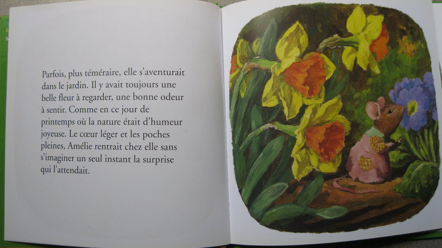 Libri: Amélie la Souris – Usato da vouvry venduto da -tivoli- 1