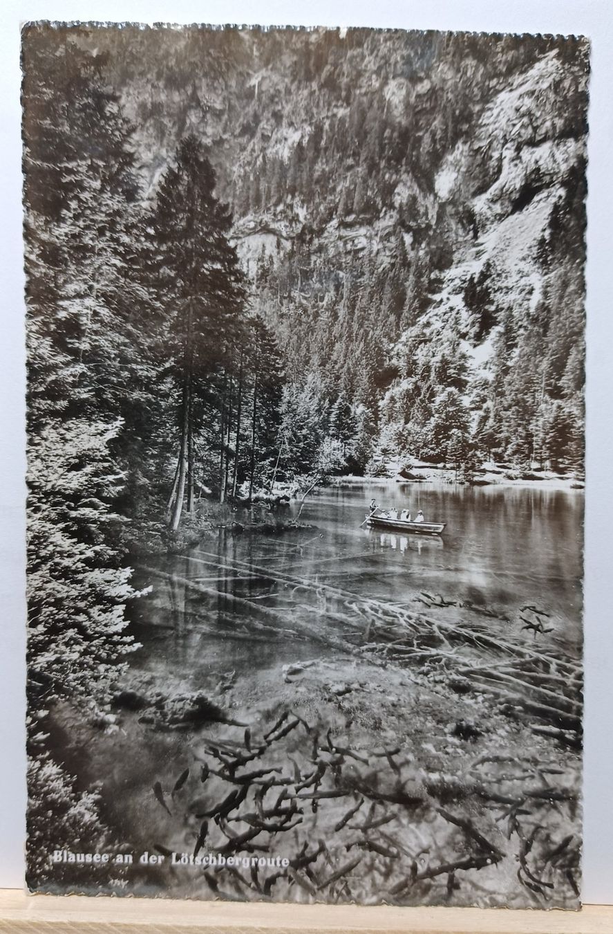 Cartoline postali: Blausee, 1951, gelaufen – Usato da Aarau Rohr venduto da mgvw