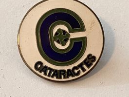 1 Pin Caracters