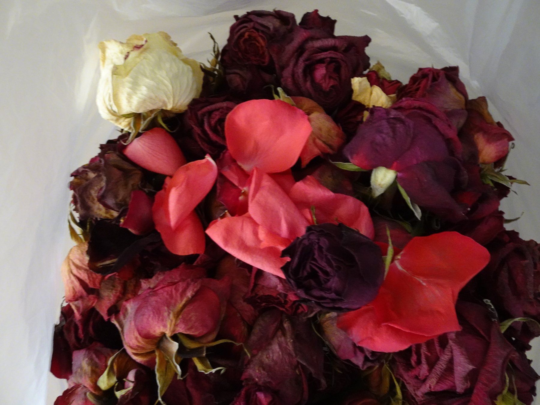 Alle Dekorationen: 637 Gramm echte, getrocknete Rosen-Köpfe - 250819 – Gebraucht aus Küssnacht am Rigi von Good4Deckeli 3