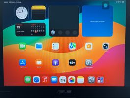 iPad Pro 11 WiFi / 256GB / Model A1980 / defekt