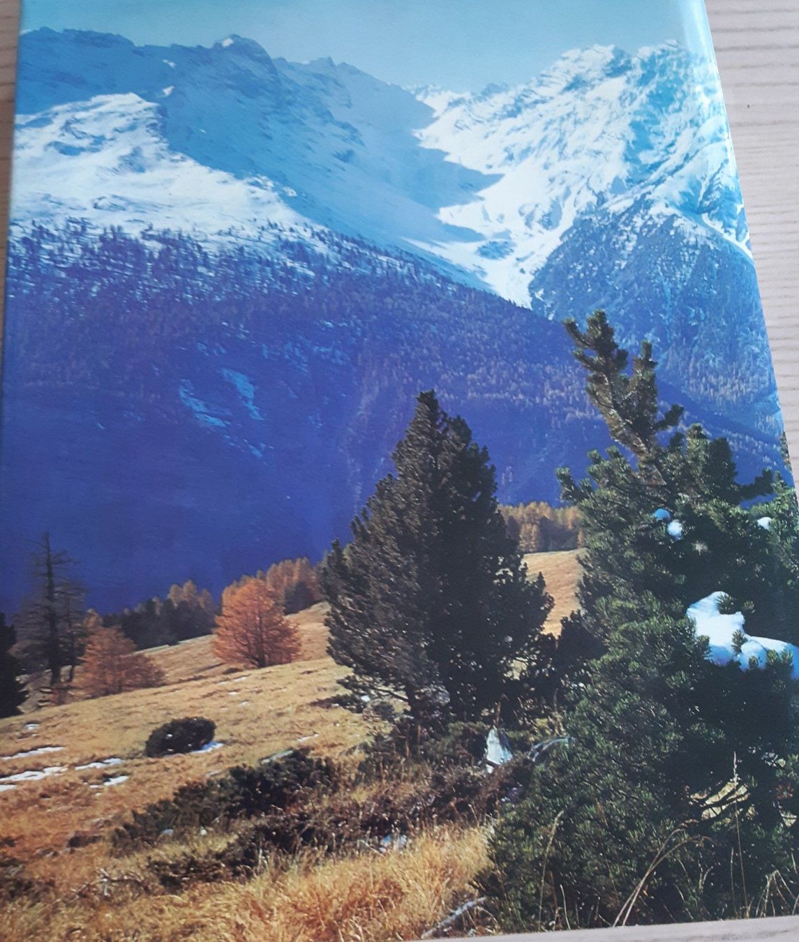 Libri: Buch Der Schweizer Nationalpark – Usato da Langenthal venduto da Deern1 1