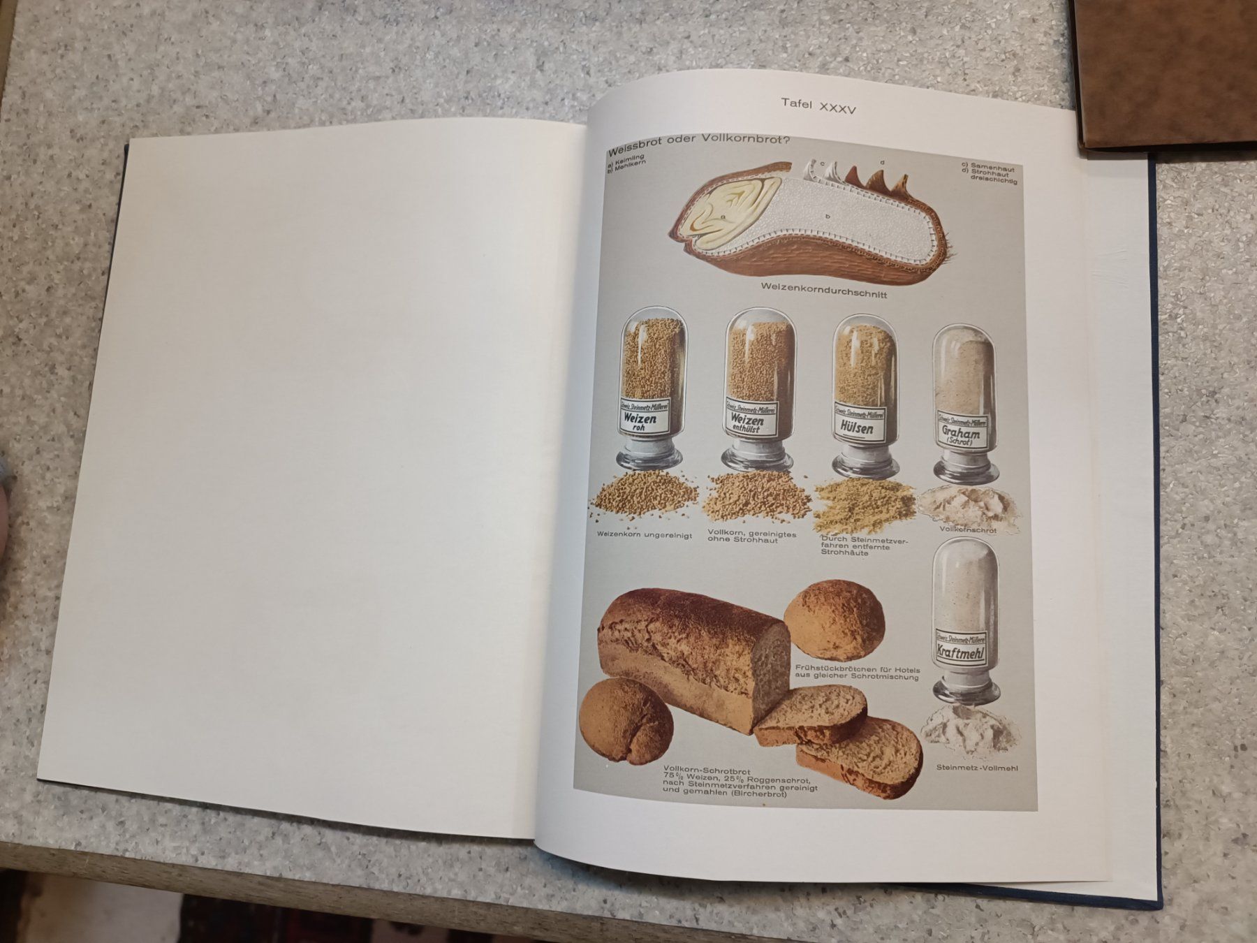Libri: Wendepunktbücher Nr. 18 Nährschäden in Wort und Bild Bircher – Usato da Reiden venduto da Zofi-Brocki 3