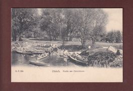 ZÜRICH - Partie am Zürichhorn - 1905