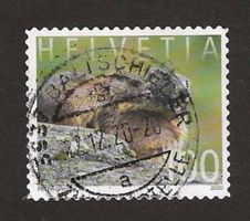 2020 Z 1777 Vollstempel Baltschieder 22-12-20