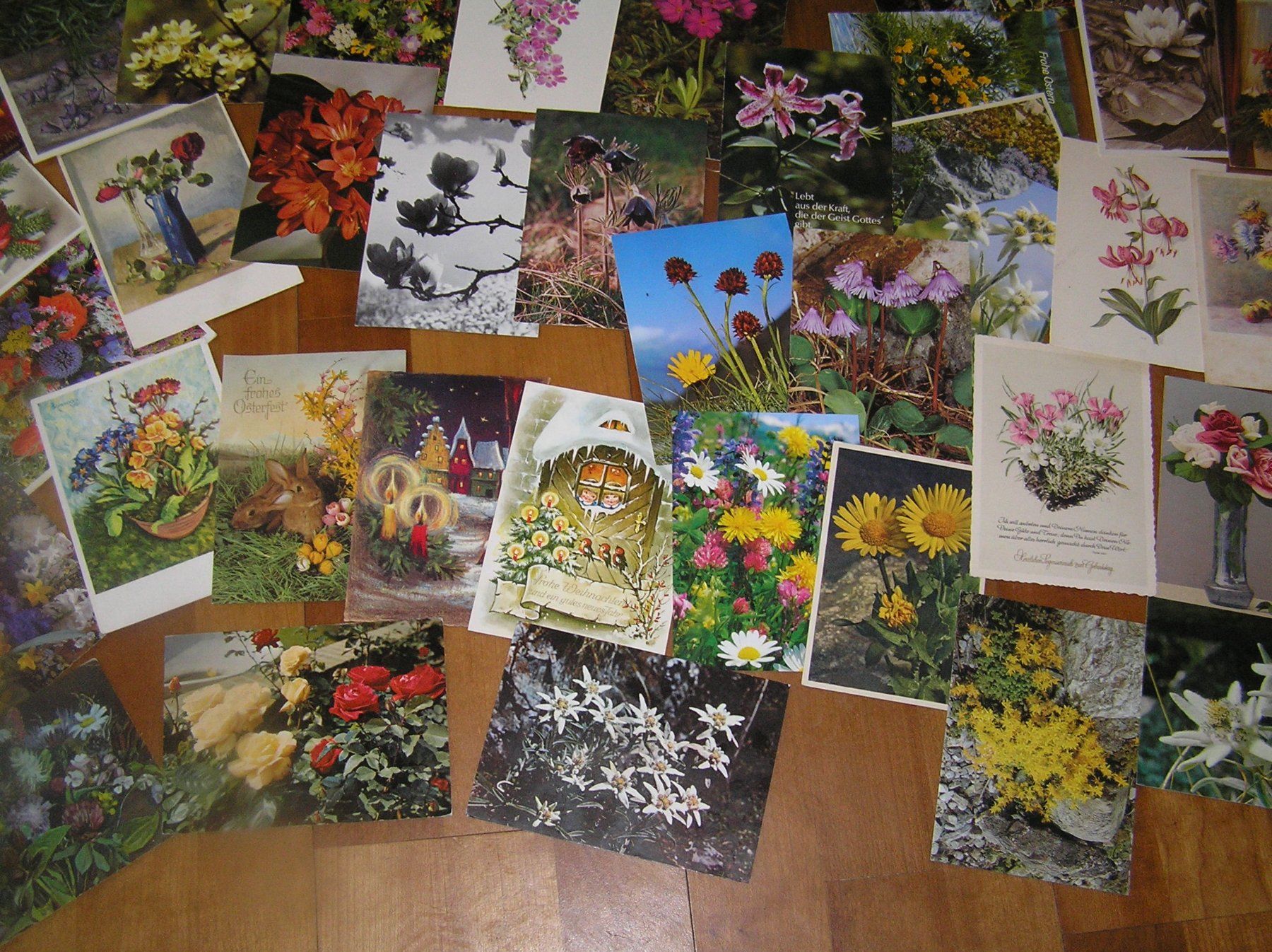 Cartoline postali: 200 Gruss - Blumenkarten – Usato da Lumbrein venduto da made02 3