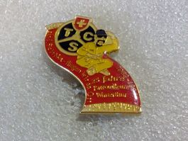 Ansteckpin 110: TCS