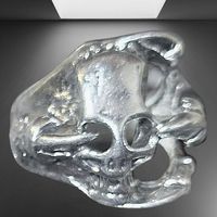 💥☠️ Rock den Look – Skullring mit Style-Faktor! ⚡️💥