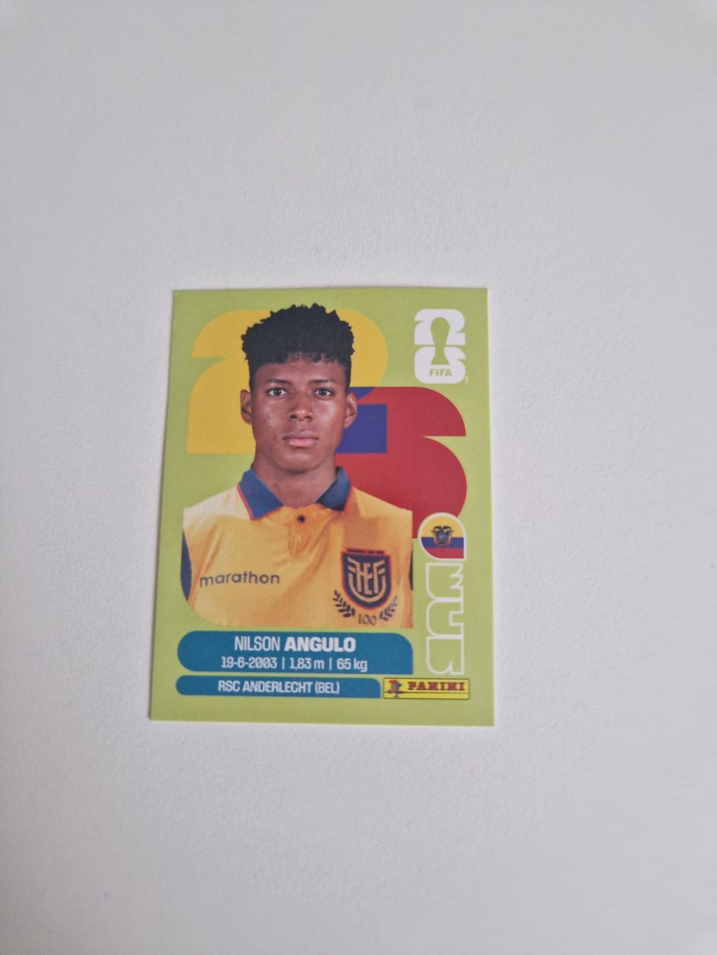 Panini Carte collezionabili: Panini Sticker ECU17 – Nuovo (secondo la descrizione) da Stüsslingen venduto da white_angel86