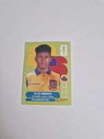 Panini Sticker ECU17