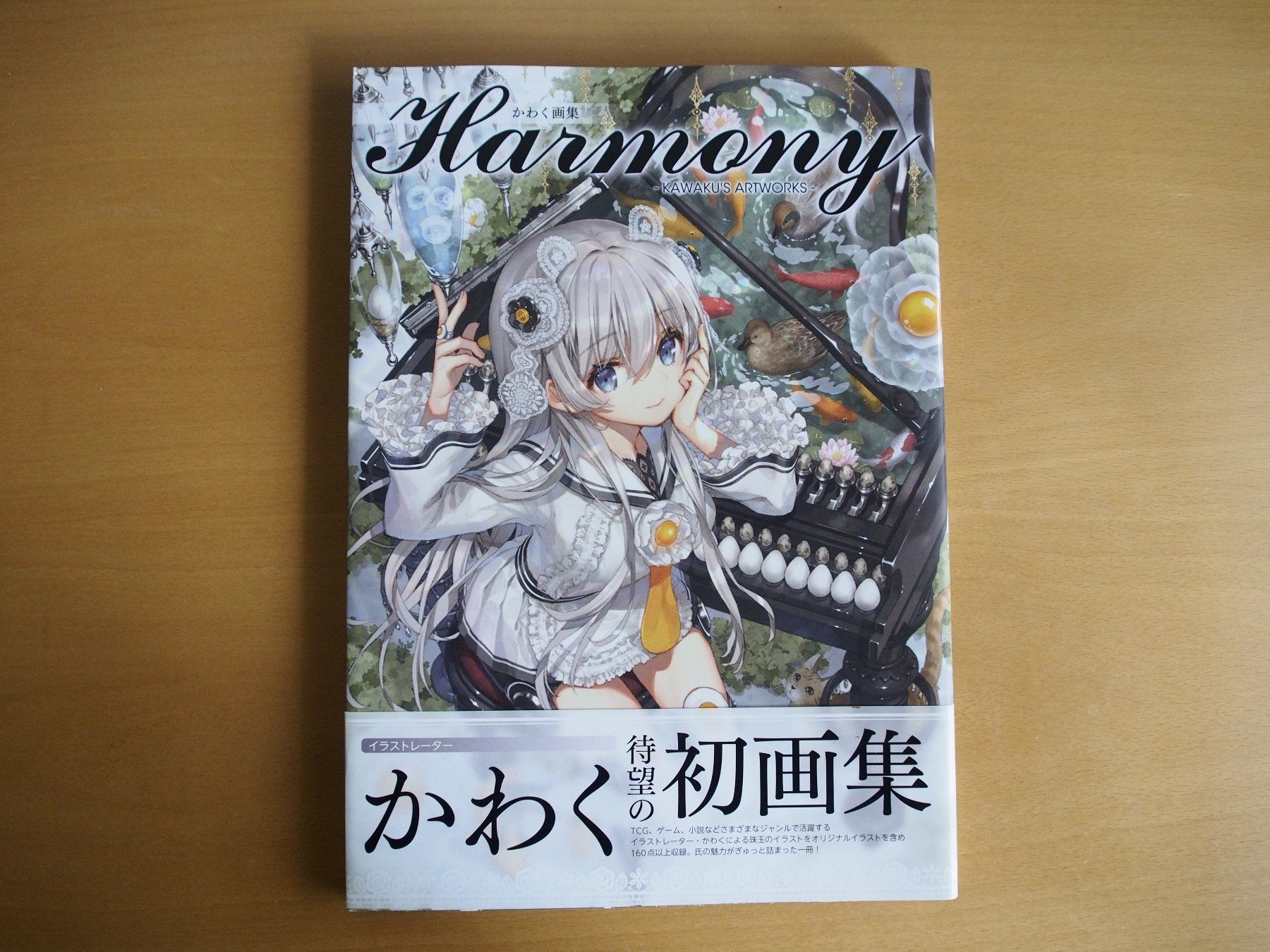 Libri: Harmony (Artbook) – Usato da Winistorf venduto da raziel66