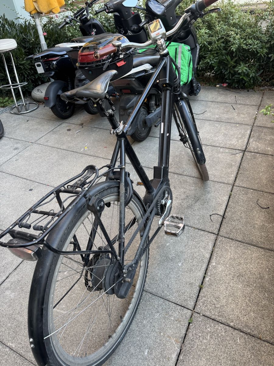 Biciclette: E-Bike Endiolo – Usato da Wil SG venduto da andi_aliaj 1