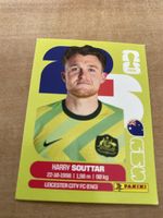 Panini Aus 4