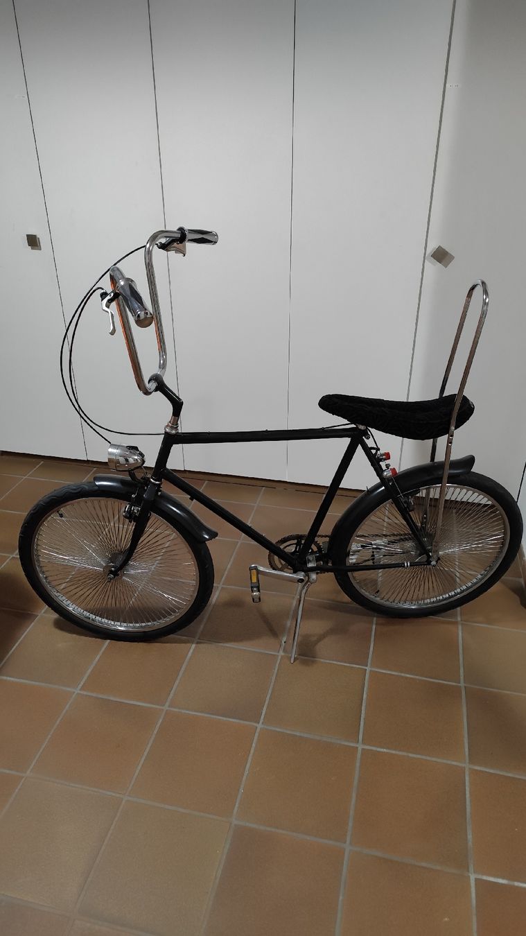 Biciclette: Custom Bike – Usato da Fehraltorf venduto da Welltea73