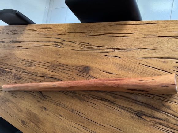 Strumenti musicali: Didgeridoo Eucalyptus – Usato da Lupfig venduto da account76 3