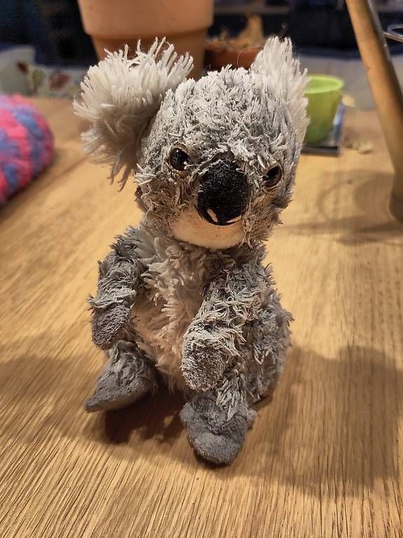 Giocattoli: Plüschtier Koala – Usato da Wattwil venduto da ----------