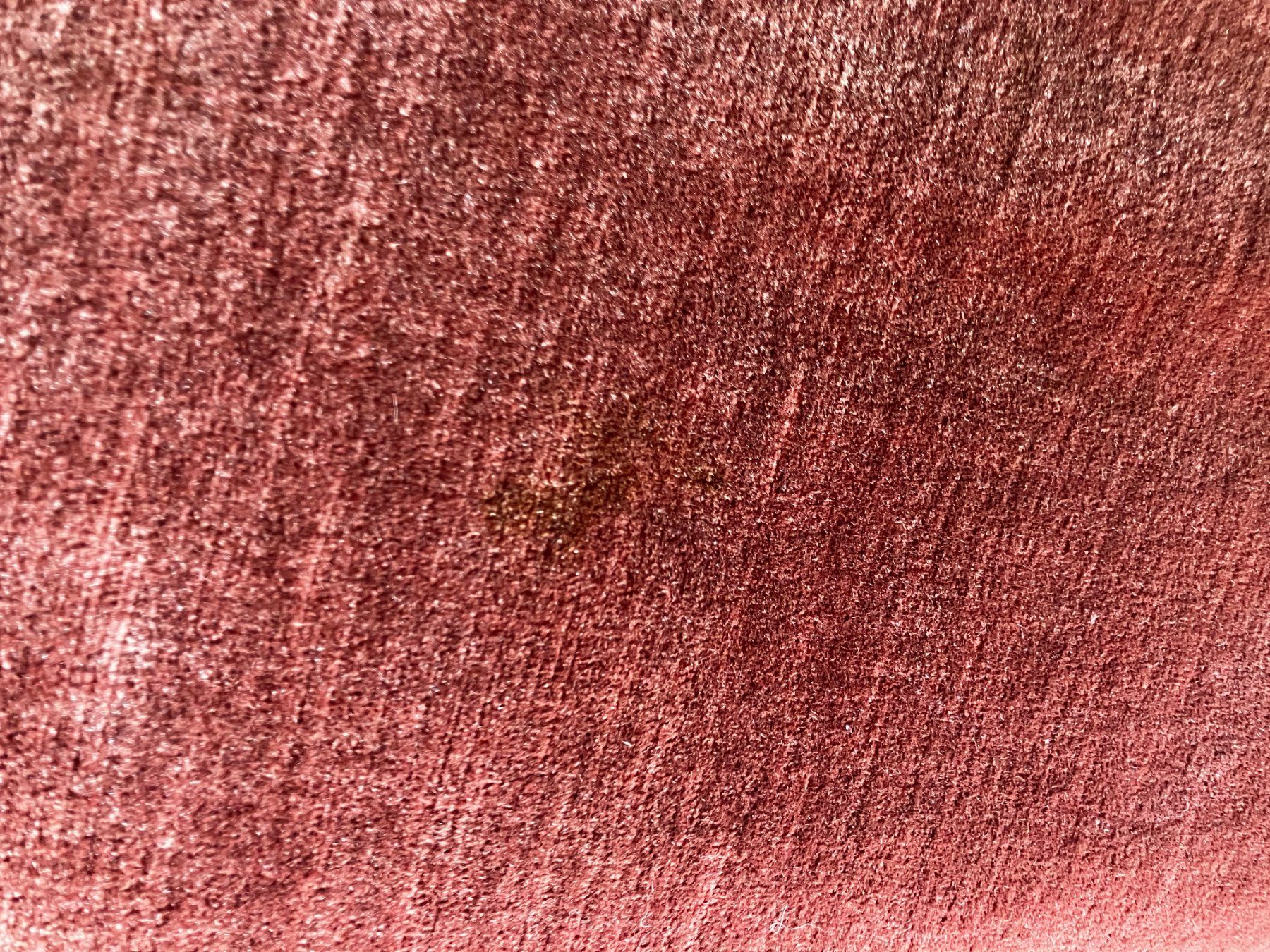 Divani: Wunderschönes Velours-Schlafsofa – Usato da Luzern venduto da sie_7nkr 6