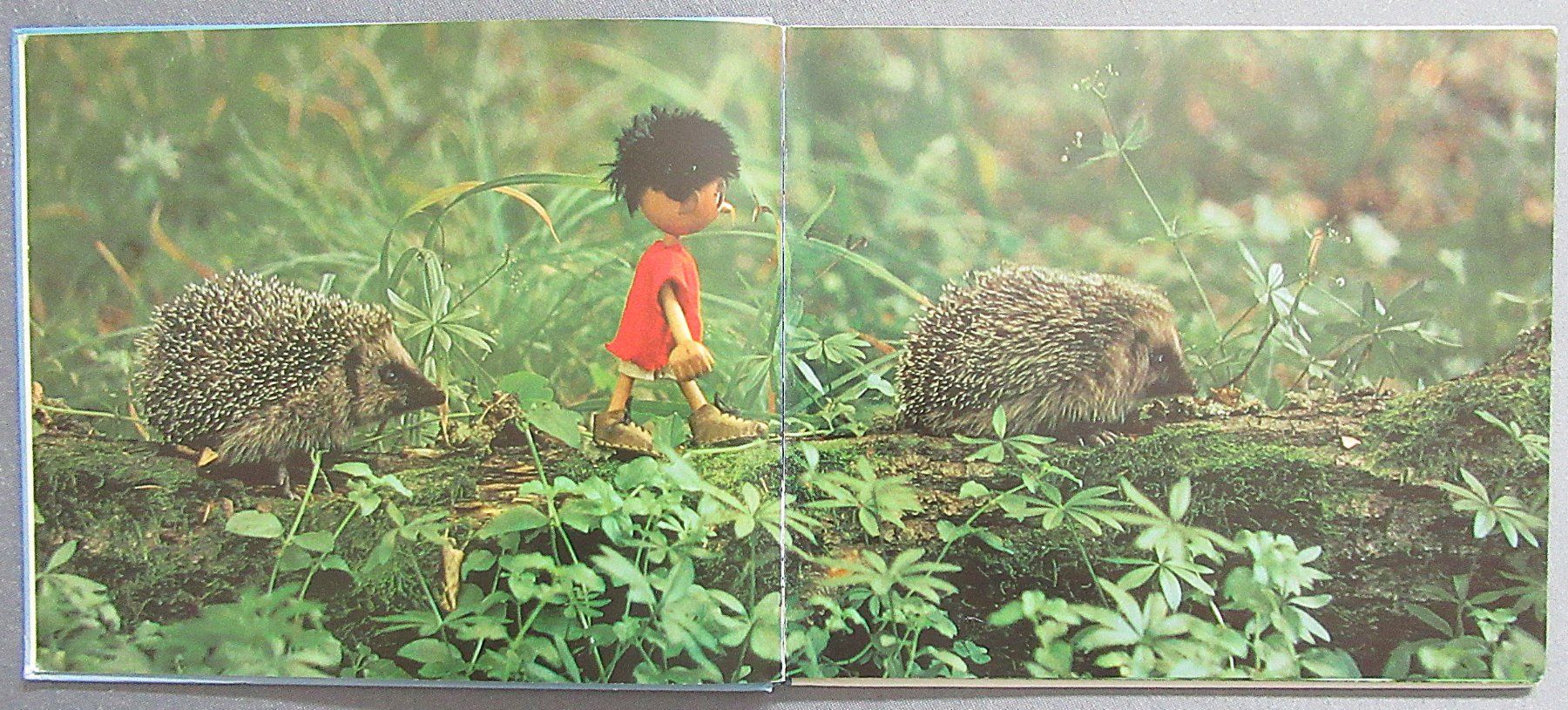 Libri: Baski - Baski's Flug mit der Wildente – Usato da Auenstein venduto da Padabimbim 3