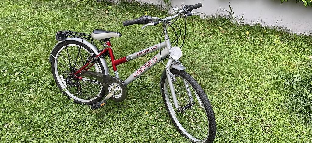 Biciclette: Bicicletta bambino/a – Usato da Muralto venduto da proderoby