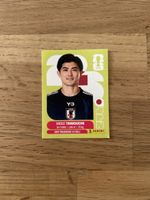 Panini JPN 6