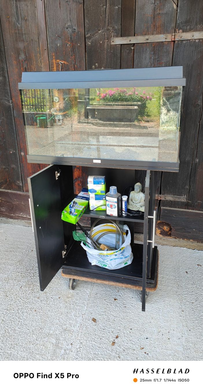 Acquari: Aquarium Juwel 110L – Usato da Triengen venduto da KittyKat6 1